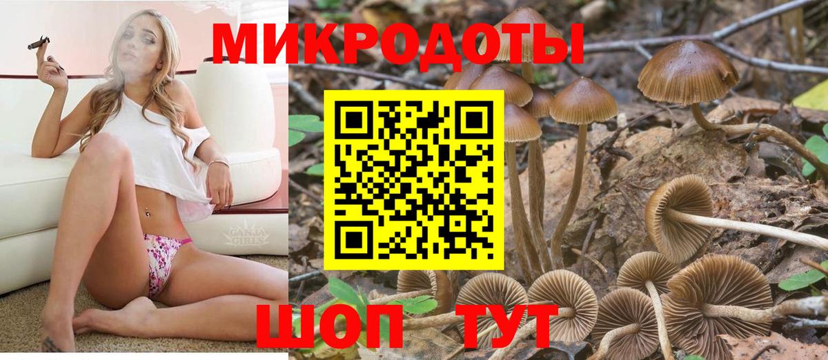 Псилоцибиновые грибы ЛСД Новочеркасск